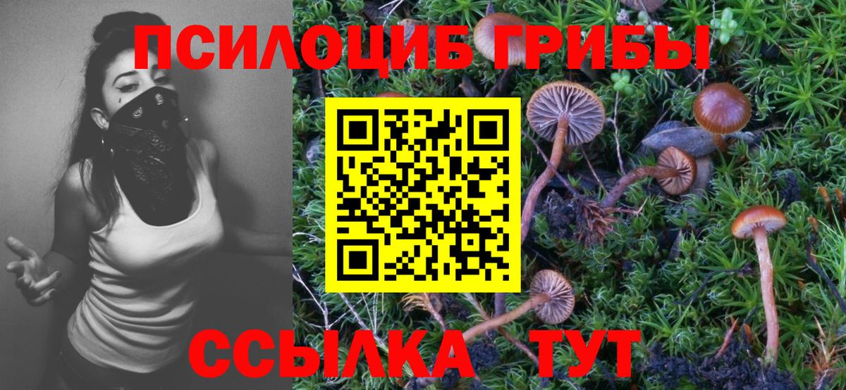 Псилоцибиновые грибы ЛСД Волгоград