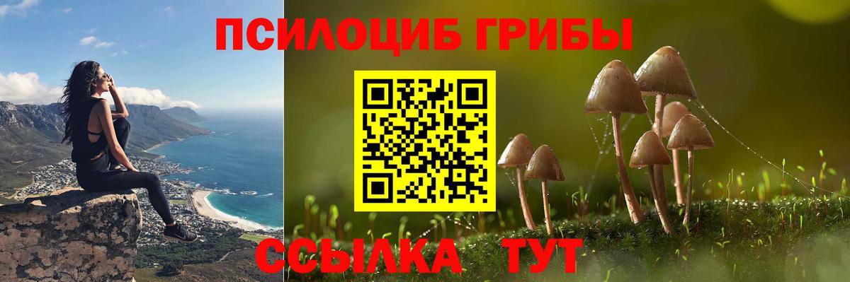 наркошоп  Галлюциногенные грибы Psilocybe  Вход с VPN  Волгоград 